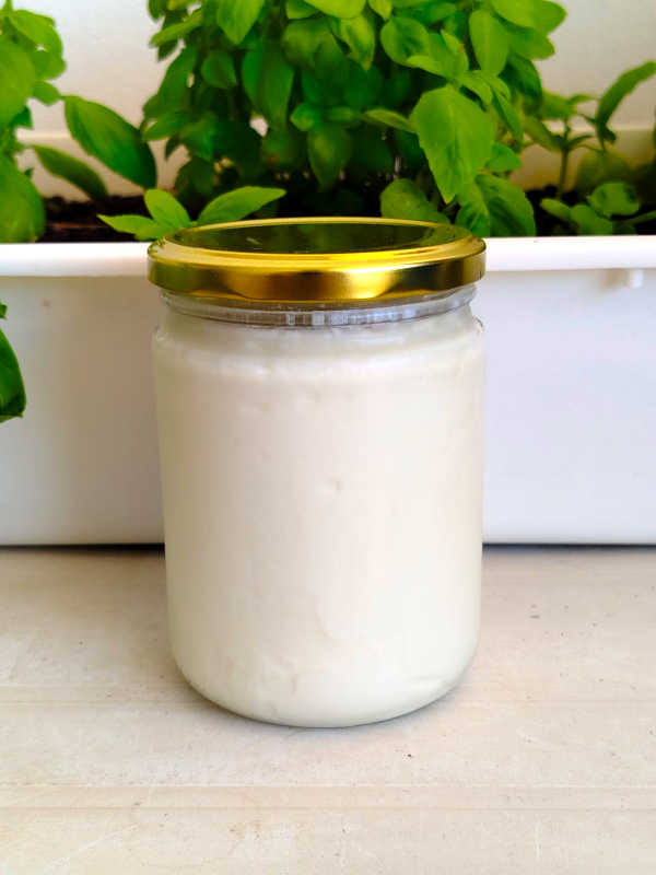 Yogurt de Bulgaria. Kefir. Yogu Ruto